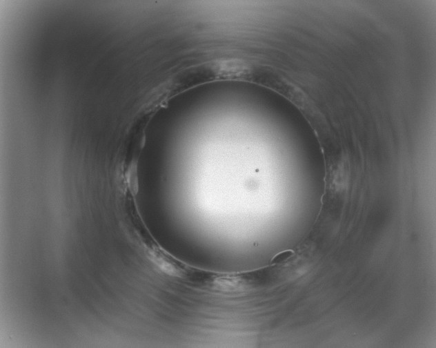 X0000069830666200605191141