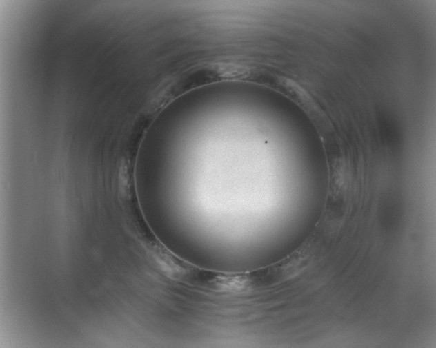 X0000069830667200605191141