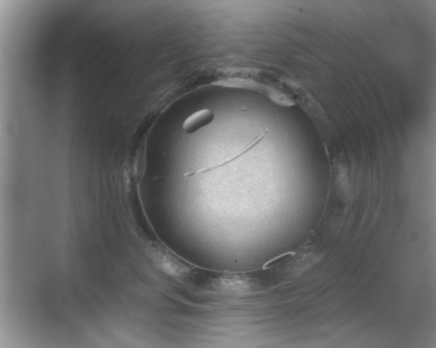 X0000069830668200605191141