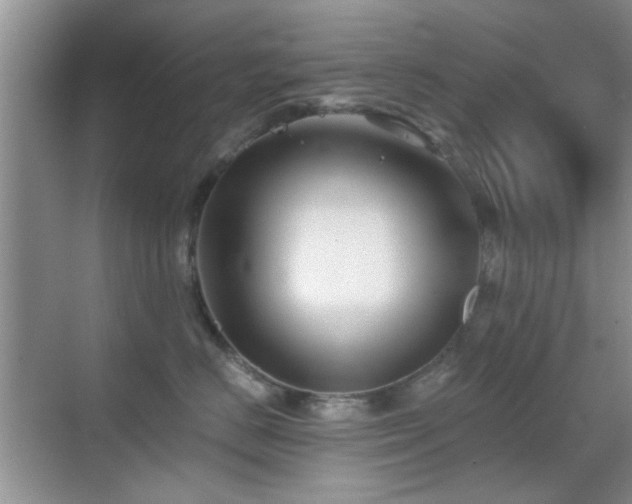 X0000069830670200605191141