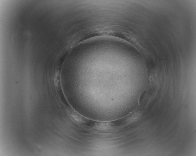 X0000069830671200605191141