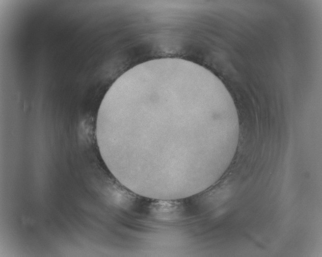 X0000069830672200605191141