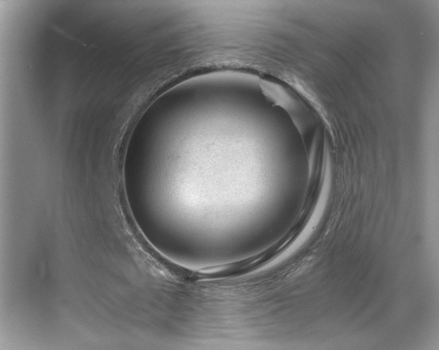 X0000069830673200605191140