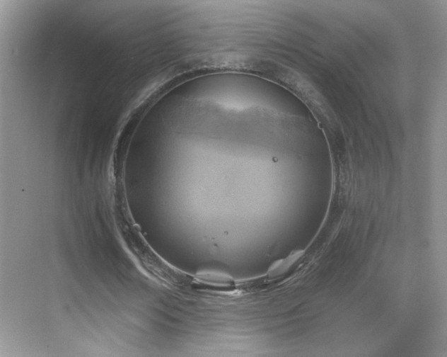 X0000069830674200605191140