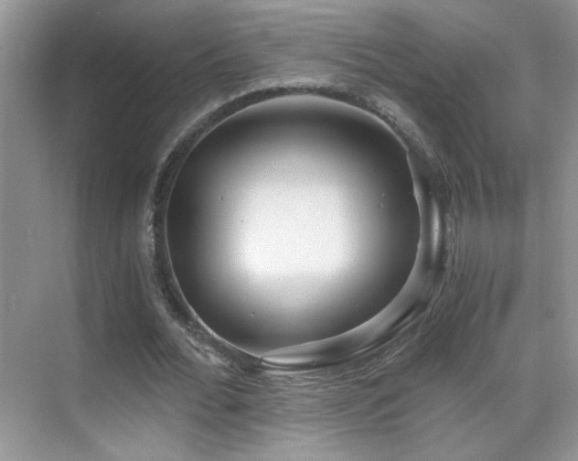 X0000069830676200605191140