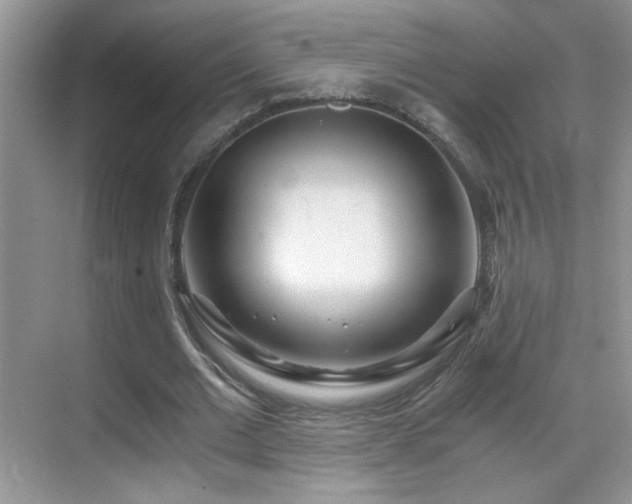 X0000069830677200605191140