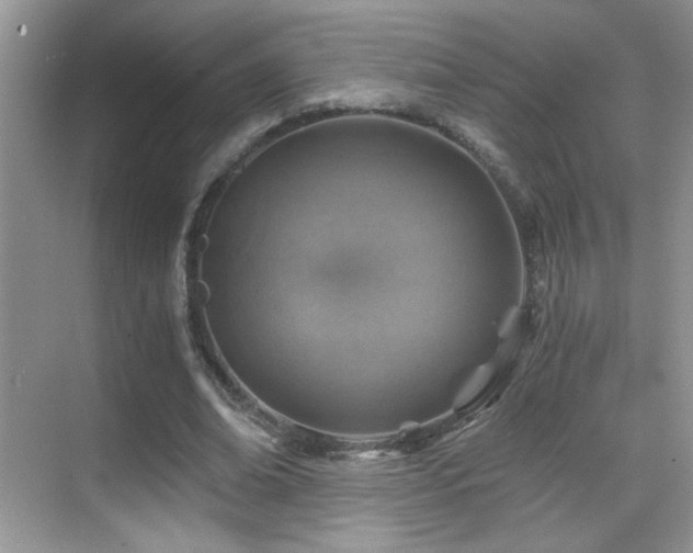 X0000069830678200605191140