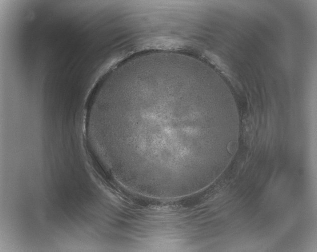 X0000069830679200605191140