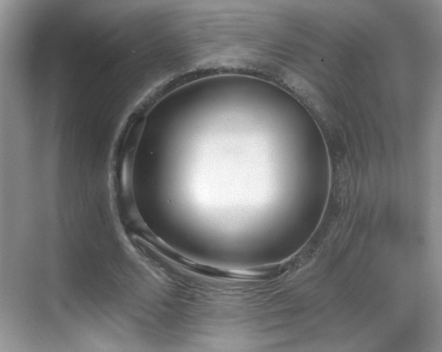 X0000069830680200605191140