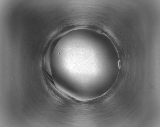 X0000069830681200605191140