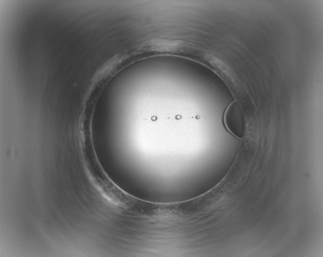 X0000069830682200605191140