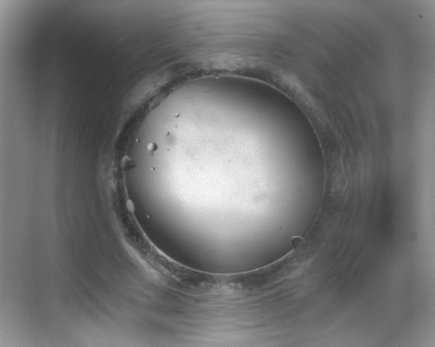 X0000069830683200605191140