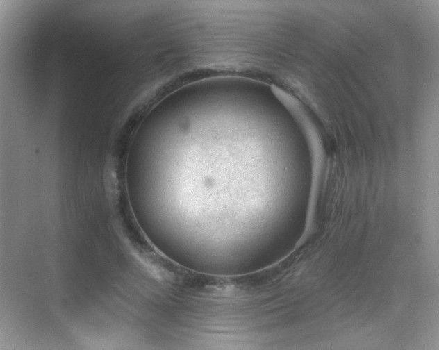 X0000069830688200605191140