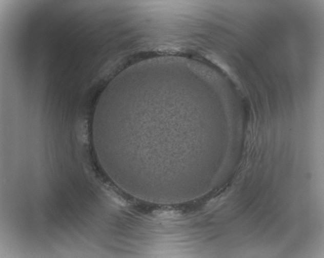 X0000069830689200605191140