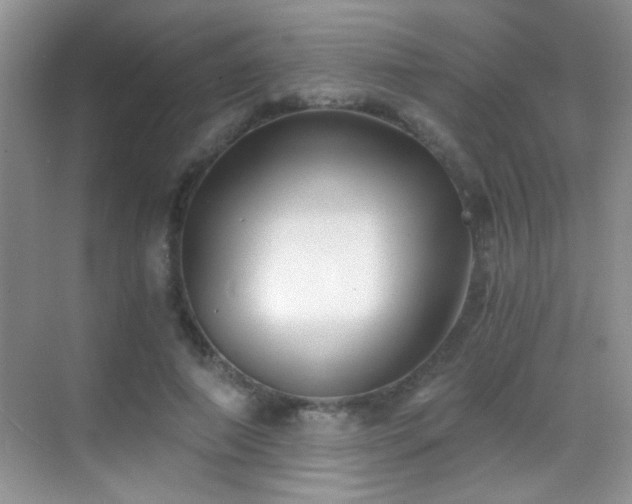 X0000069830690200605191140