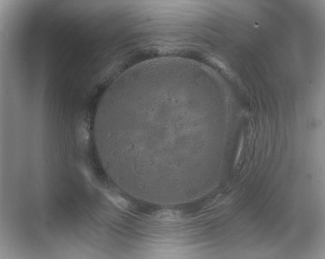 X0000069830691200605191140