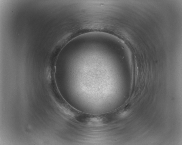 X0000069830692200605191140