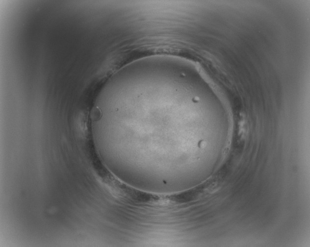 X0000069830695200605191140