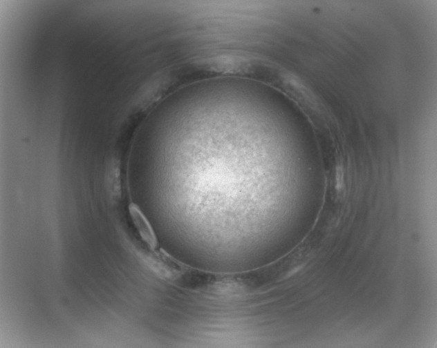 X0000069830696200605191140