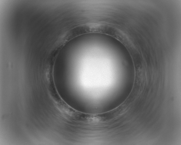 X0000069830698200605191140