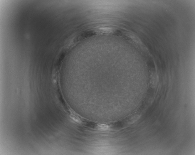 X0000069830701200605191140