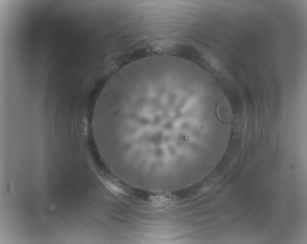 X0000069830703200605191140