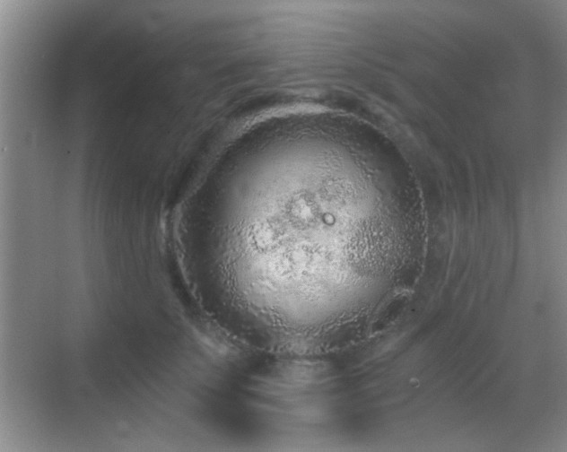 X0000069830707200605191140