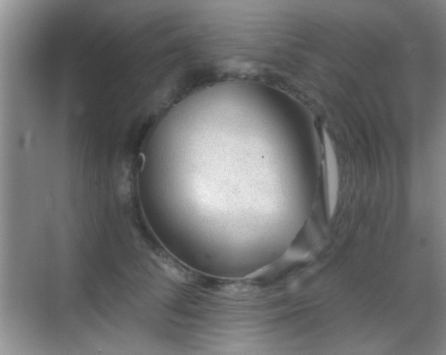 X0000069830708200605191140