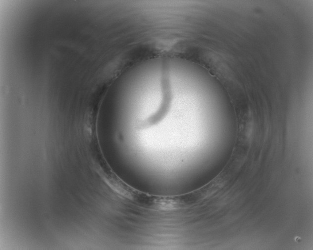 X0000069830710200605191140