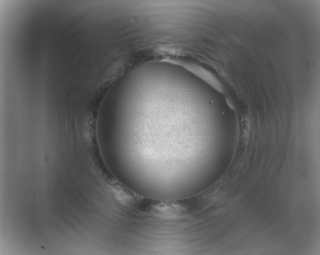 X0000069830712200605191140