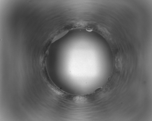 X0000069830714200605191140