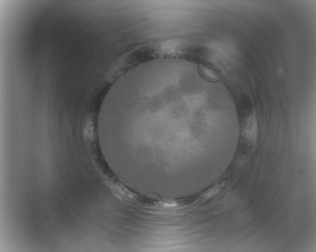 X0000069830715200605191140