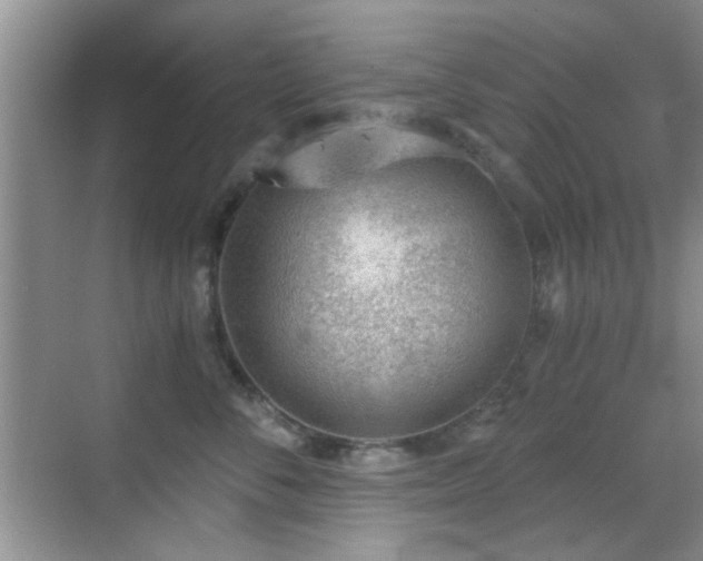 X0000069830716200605191140