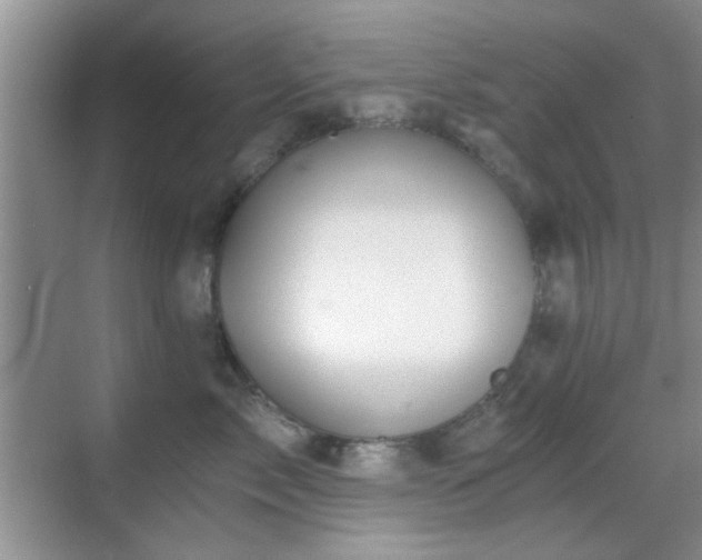 X0000069830717200605191140