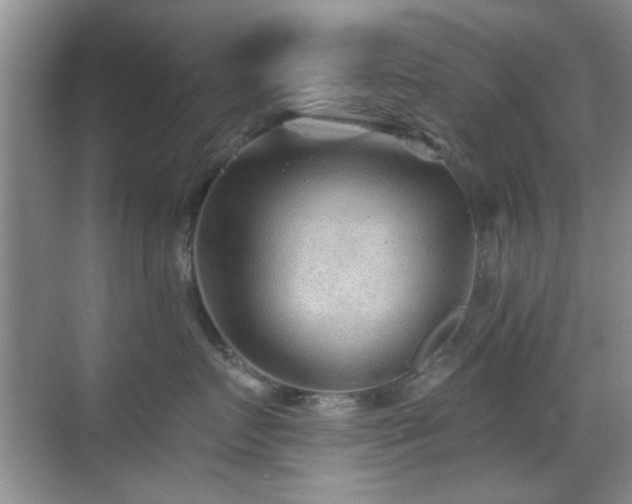 X0000069830719200605191140