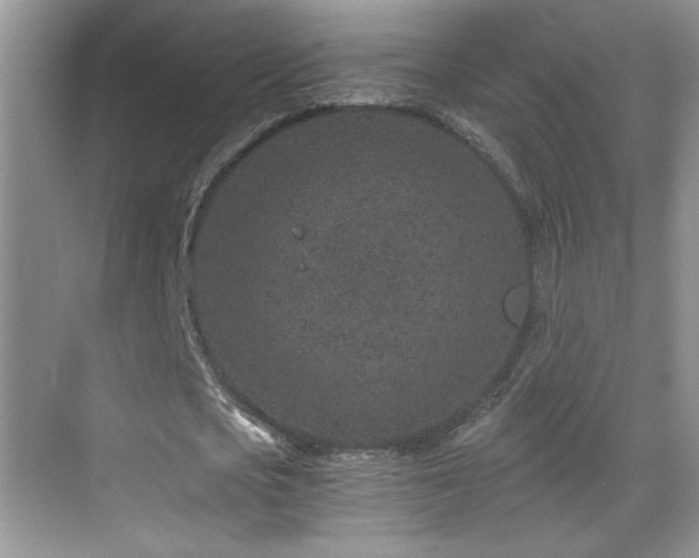 X0000069830721200605191139