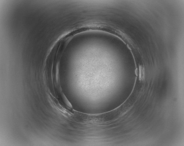 X0000069830723200605191139