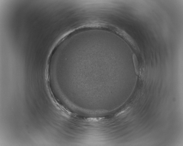 X0000069830724200605191139