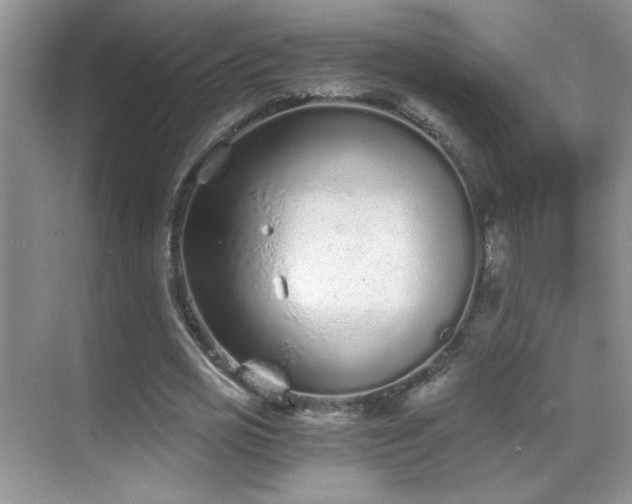 X0000069830725200605191139