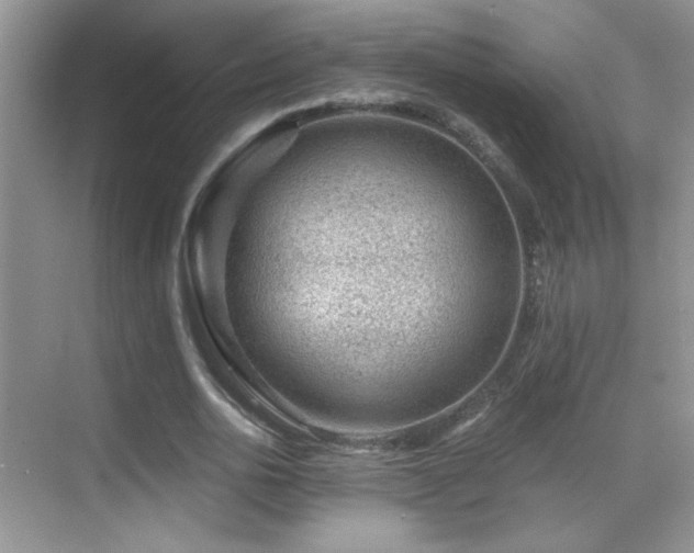 X0000069830726200605191139