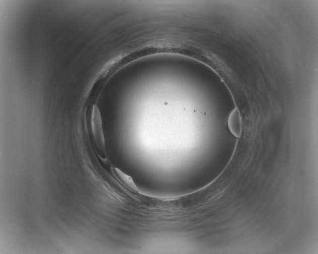 X0000069830727200605191139