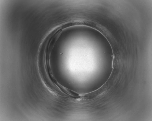 X0000069830728200605191139