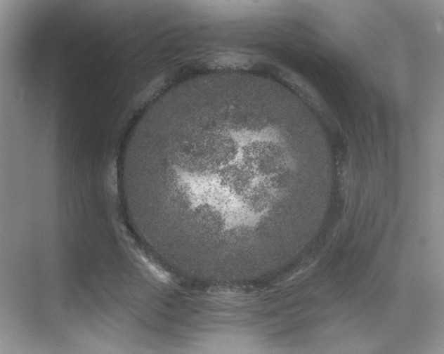 X0000069830729200605191139