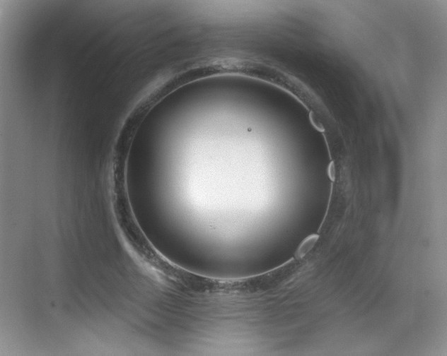 X0000069830730200605191139