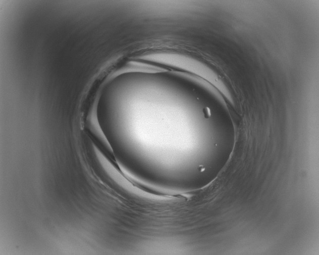 X0000069830731200605191139