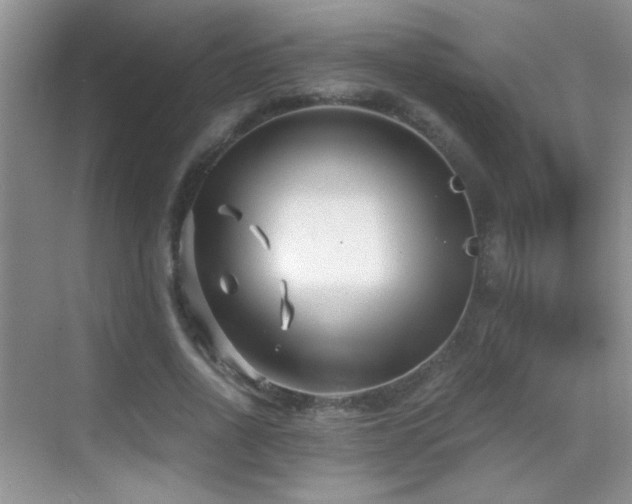 X0000069830734200605191139