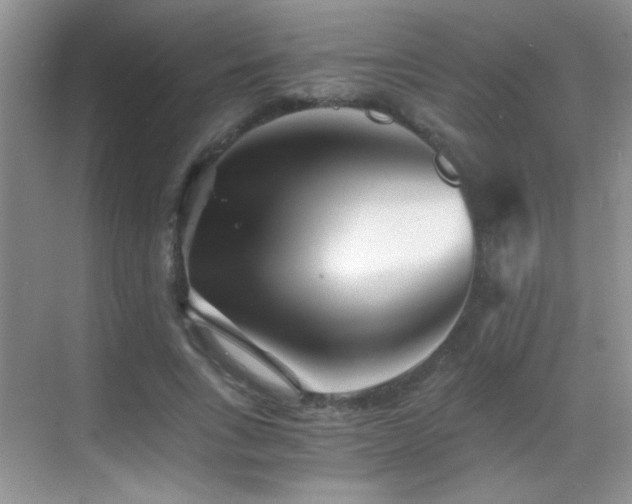 X0000069830735200605191139