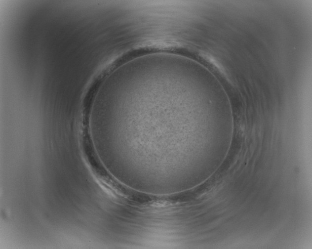 X0000069830736200605191139