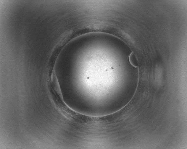 X0000069830738200605191139