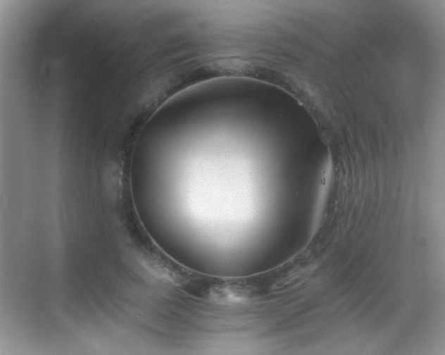 X0000069830739200605191139